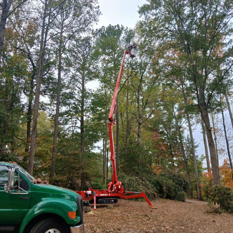 강스 트리의 트리밍 기계