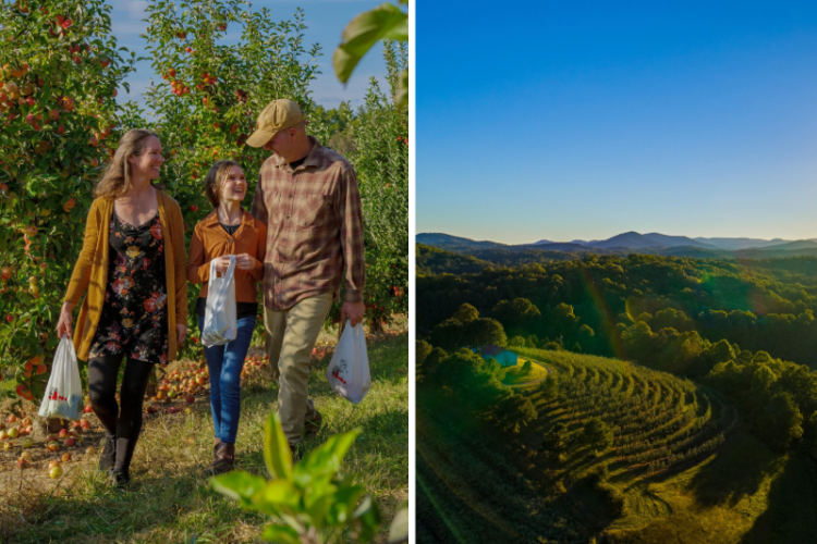 머시어 오처드 페이스북 캡처.