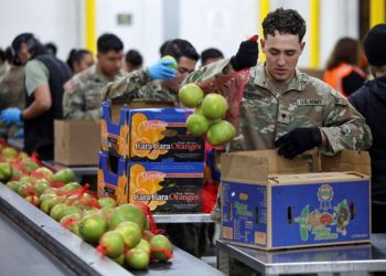 로스앤젤레스 푸드뱅크에서 주방위군이 식료품을 포장하고 있다. [로이터]