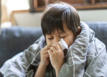 이미지 사진 [출처 셔터스톡]