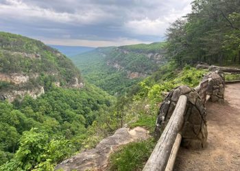 조지아에서 가장 아름다운 주립공원 중 하나로 꼽히는 클라우드랜드 캐년 주립공원. [페이스북 캡처]