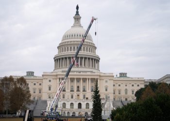 지난 21일 미국 국회의사당 크리스마스 트리가 워싱턴 DC 미국 국회의사당에 설치되고 있다. EPA=연합뉴스