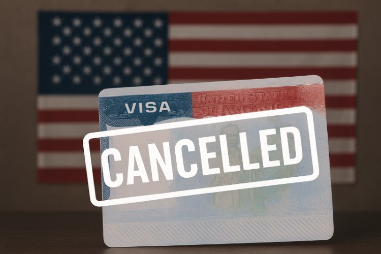 올해 비이민 비자 8만건이 취소된 것으로 파악됐다. [AI 생성 이미지]