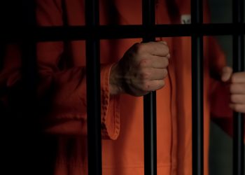 이미지 사진 [출처 셔터스톡]