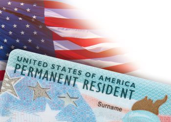 이지미 사진 [출처 셔터스톡]