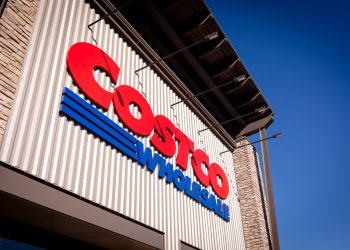 이미지 사진 [출처 셔터스톡]