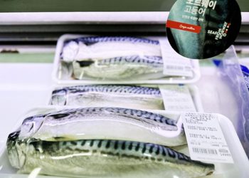 서울의 한 마트에 진열된 노르웨이산 고등어. 천권필 기자