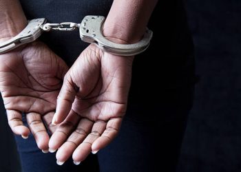 이미지 사진 [출처 셔터스톡]