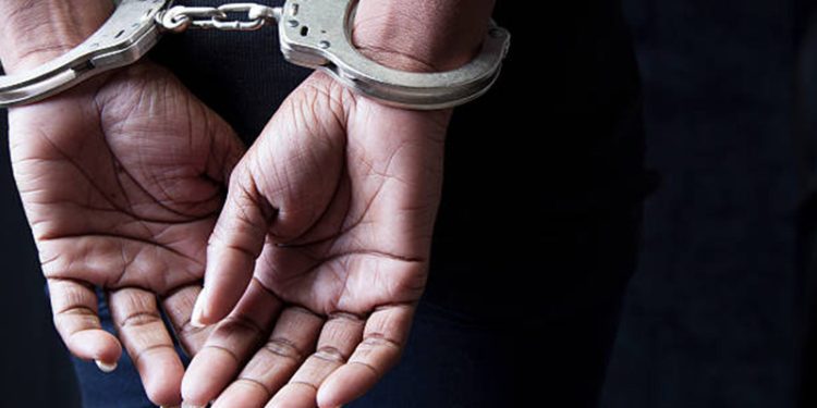 이미지 사진 [출처 셔터스톡]