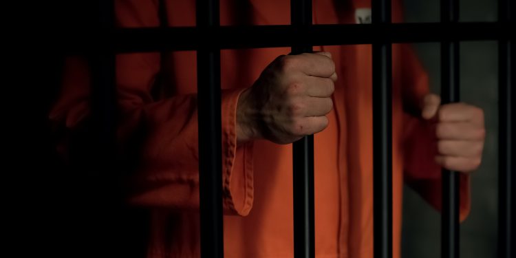 이미지 사진 [출처 셔터스톡]