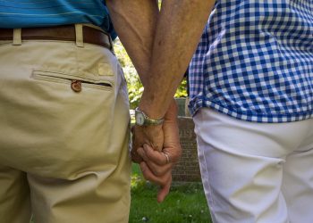 이미지 사진 [출처 셔터스톡]