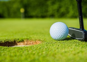 이미지 사진 [출처 셔터스톡]