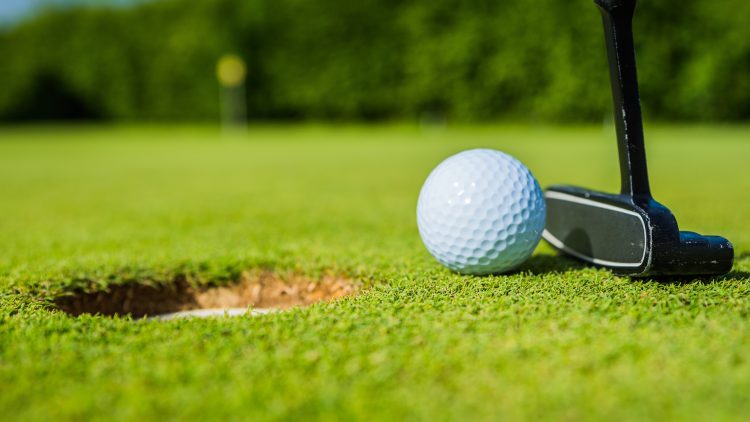 이미지 사진 [출처 셔터스톡]