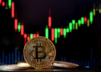 비트코인. 이미지 사진 [출처 셔터스톡]