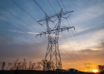 이미지 사진 [출처 셔터스톡]