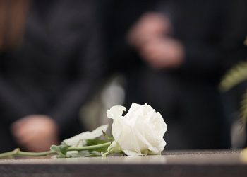 이미지 사진 [출처 셔터스톡]