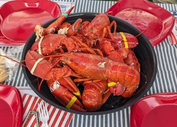 영국이 바닷가재 요리를 할 때 살아있는 채로 끓는 물에 바닷가재를 삶는 행위를 금지하기로 했다. [출처 셔터스톡]