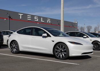 이미지 사진 [출처 셔터스톡]