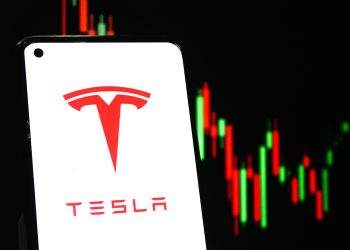 이미지 사진 [출처 셔터스톡]