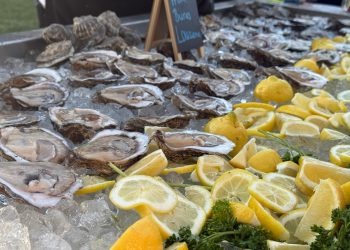 이미지 사진 [출처 셔터스톡]