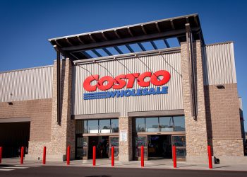 이미지 사진 [출처 셔터스톡]