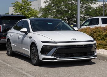 이미지 사진 [출처 셔터스톡]