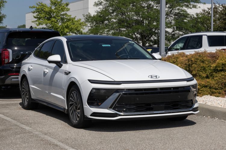 이미지 사진 [출처 셔터스톡]