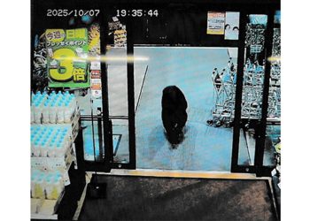 지난 10월 일본의 한 마트 CCTV에 찍힌 야생 곰. [연합뉴스]