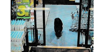 지난 10월 일본의 한 마트 CCTV에 찍힌 야생 곰. [연합뉴스]