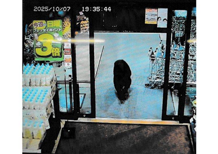 지난 10월 일본의 한 마트 CCTV에 찍힌 야생 곰. [연합뉴스]