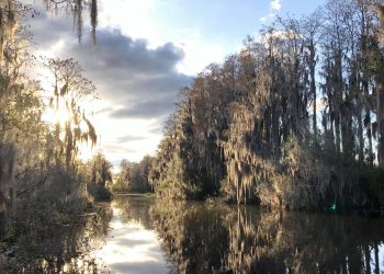 1937년 미 국립 야생동물 보호구역으로 지정된 오키페노키 습지. 2026년 7월 세계자연유산 등재 여부가 결정된다.