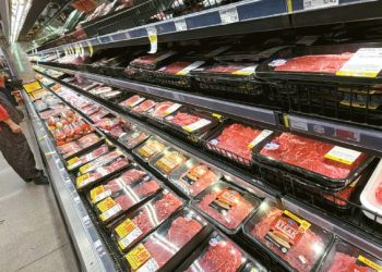 랄프스 정육부에서 고객이 소고기 가격을 살피고 있다. 김상진 기자.