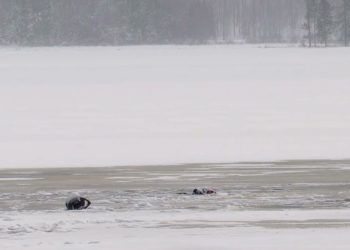 뉴욕주 세인트로렌스 카운티 쇼몽 호수. 사진 유튜브 캡처