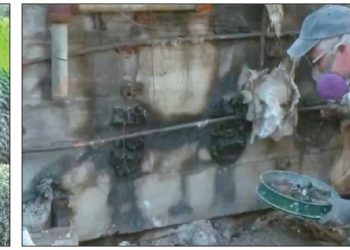 LA산불로 전소된 주택 잔해 속에서 발견된 4캐럿 다이아몬드 반지(왼쪽 사진). 제스퍼 랜들이 금속탐지기로 산불 피해 지역에서 피해 주민들을 위해 유실물 수색 활동을 벌이고 있다. [NBC4 화면 캡처]