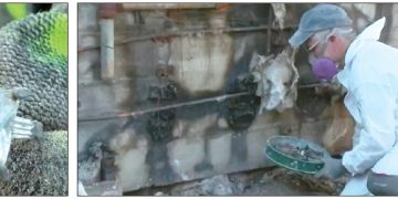 LA산불로 전소된 주택 잔해 속에서 발견된 4캐럿 다이아몬드 반지(왼쪽 사진). 제스퍼 랜들이 금속탐지기로 산불 피해 지역에서 피해 주민들을 위해 유실물 수색 활동을 벌이고 있다. [NBC4 화면 캡처]