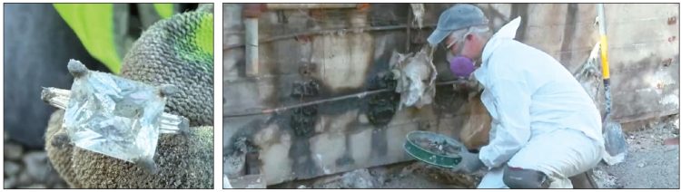 LA산불로 전소된 주택 잔해 속에서 발견된 4캐럿 다이아몬드 반지(왼쪽 사진). 제스퍼 랜들이 금속탐지기로 산불 피해 지역에서 피해 주민들을 위해 유실물 수색 활동을 벌이고 있다. [NBC4 화면 캡처]