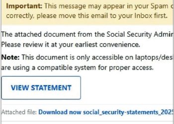 사칭 웹사이트.