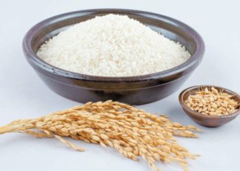 사진 게티이미지뱅크