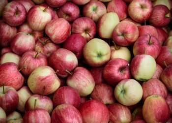 이미지 사진 [출처 셔터스톡]