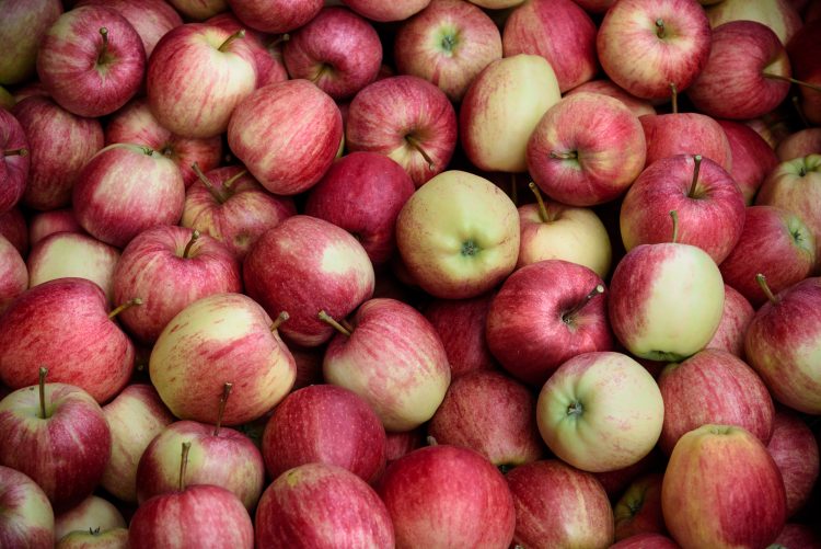 이미지 사진 [출처 셔터스톡]