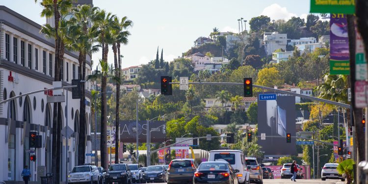이미지 사진 [출처 셔턱스톡]