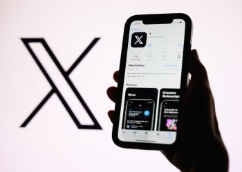 이미지 사진 [출처 셔터스톡]