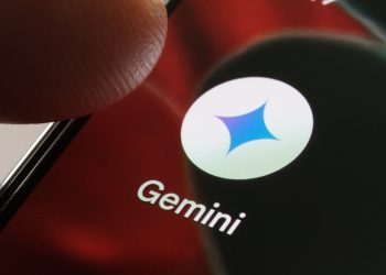 이미지 사진 [출처 셔터스톡]