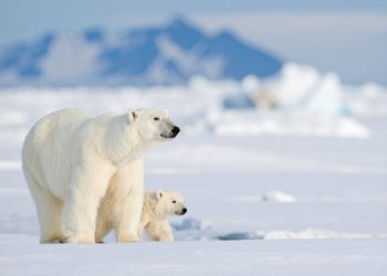 이미지 사진 [출처 셔터스톡]