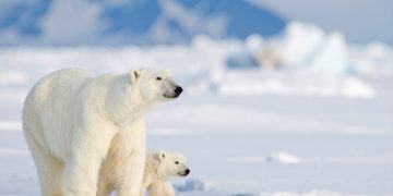 이미지 사진 [출처 셔터스톡]