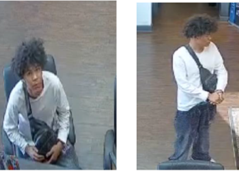 자동차 열쇠를 훔친 용의자 모습. [귀넷 경찰 제공]