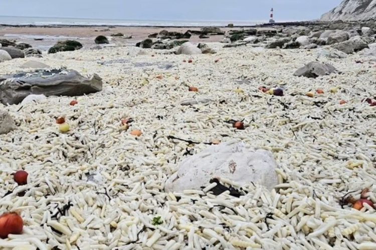 영국 남동부 휴양 도시 이스트본 해변에 감자튀김이 가득 쌓여있는 모습. 사진 엑스 캡처