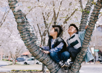 작년 수상작인 정하영 작가의 '분홍색 하늘'(Pink Sky) [스와니 시 제공]