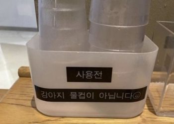 온라인 커뮤니티 캡쳐