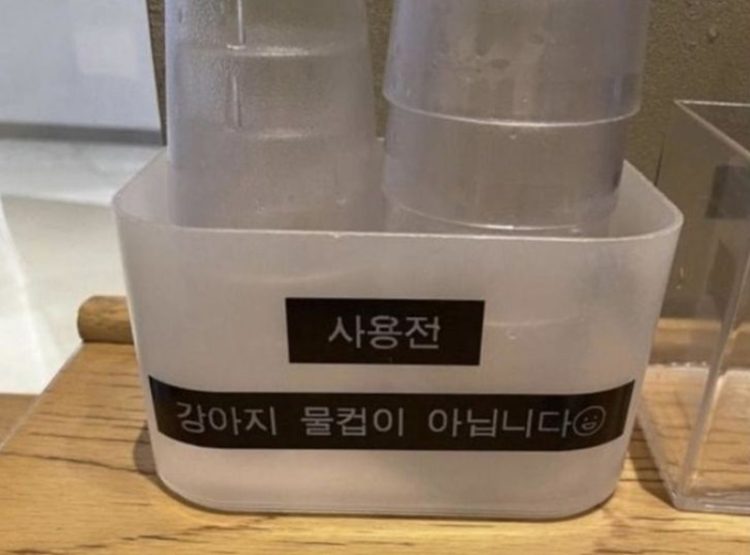 온라인 커뮤니티 캡쳐